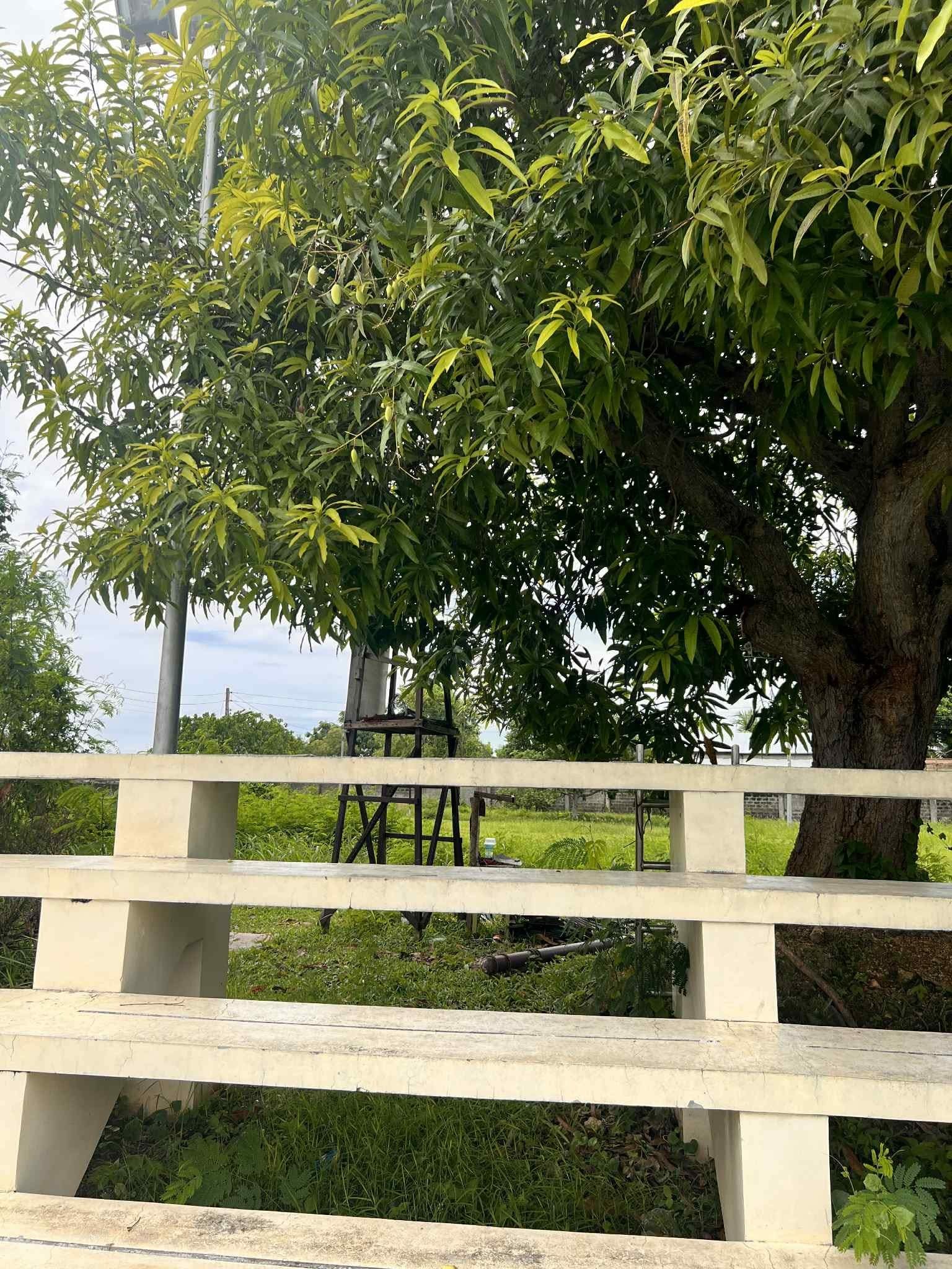 Lot For Sale, Ajoya Subdivition, By Aboitizland, Cordova